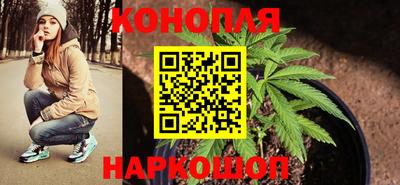 спайс Нальчик